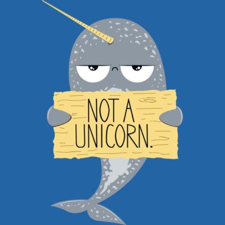 not a unicorn