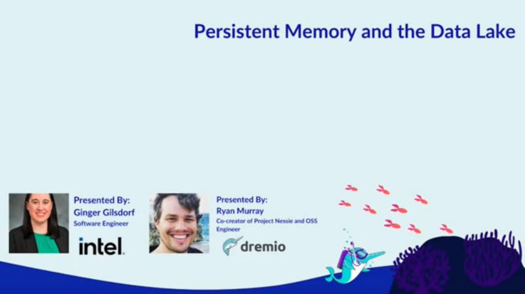 Persistent Memory and the Data Lake